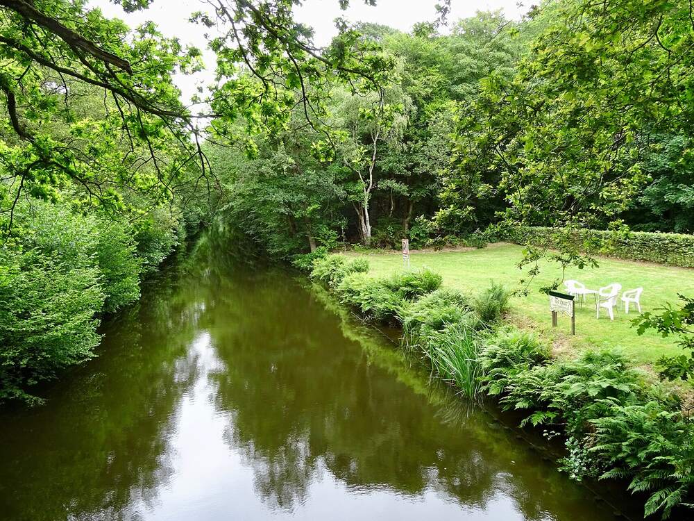 De Luts bij de Kippenburg, een smalle waterloop door het bos van Gaasterland met varens langs de oever