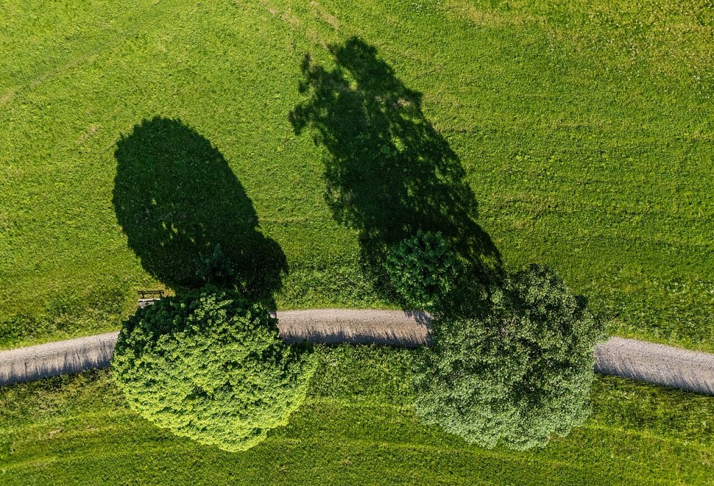 Leer zeilen voor volwassenen in Balk